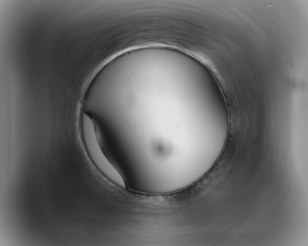 X0000089671524200707201628