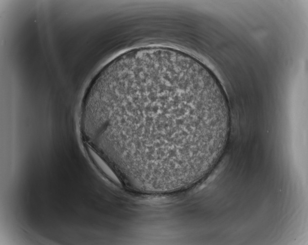 X0000089671525200707201628