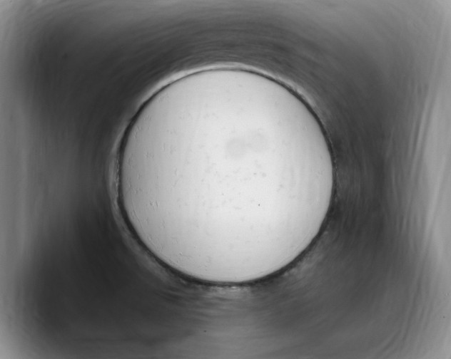 X0000089671526200707201628