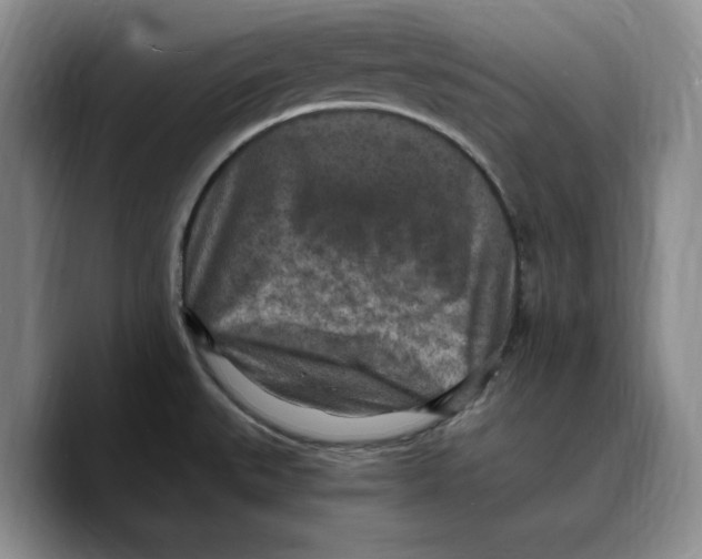 X0000089671527200707201628