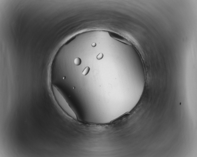 X0000089671528200707201628