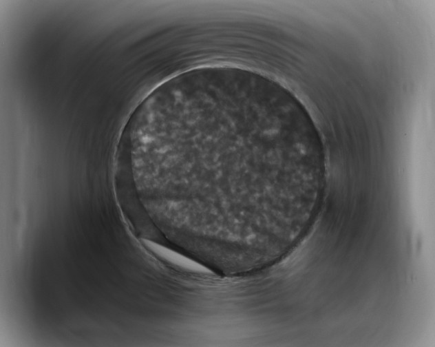 X0000089671529200707201628