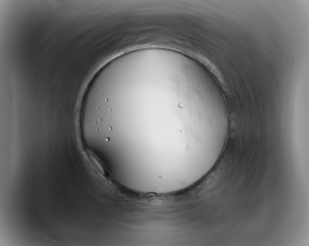 X0000089671530200707201629