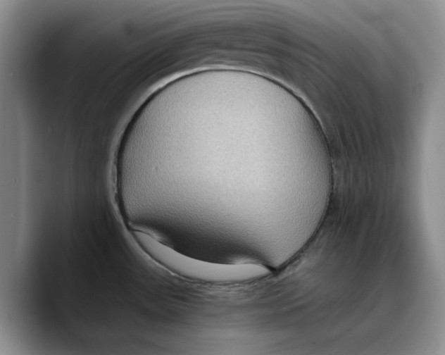 X0000089671531200707201629