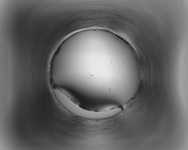 X0000089671532200707201629