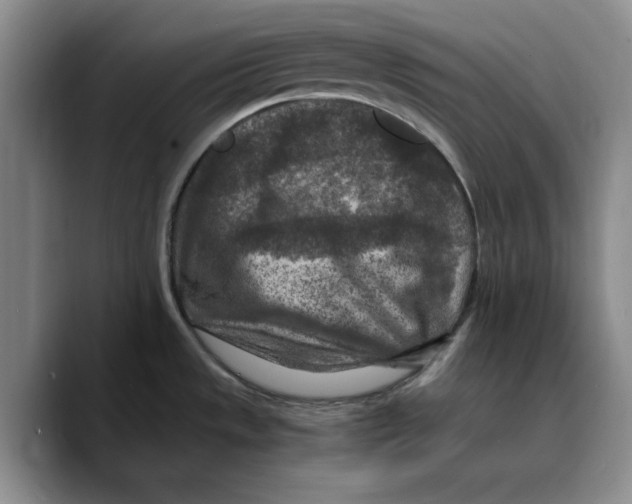 X0000089671533200707201629