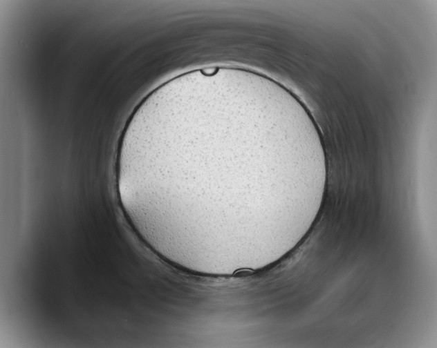 X0000089671534200707201629