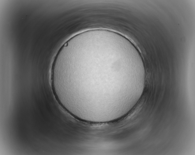 X0000089671535200707201629