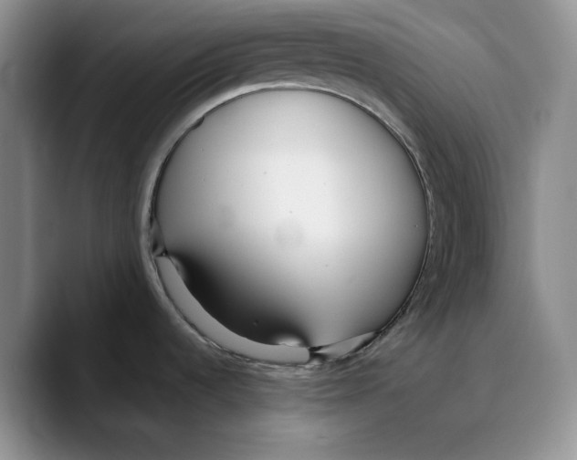 X0000089671536200707201629