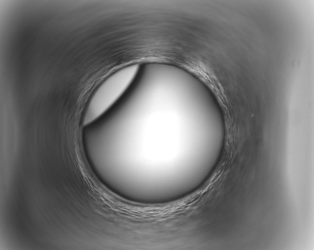 X0000089680001200706210823