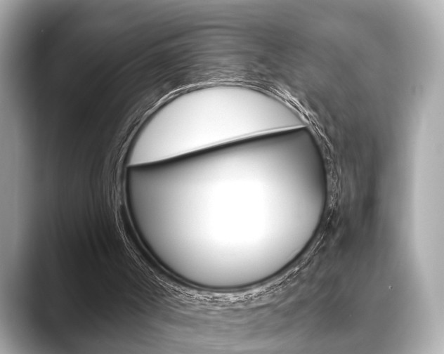 X0000089680002200706210823