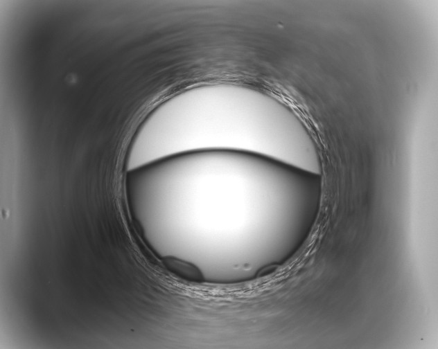 X0000089680003200706210823
