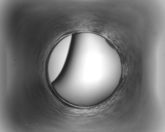 X0000089680005200706210823