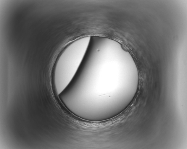 X0000089680006200706210823