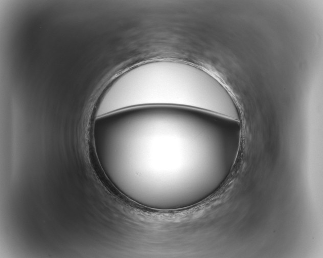 X0000089680007200706210823