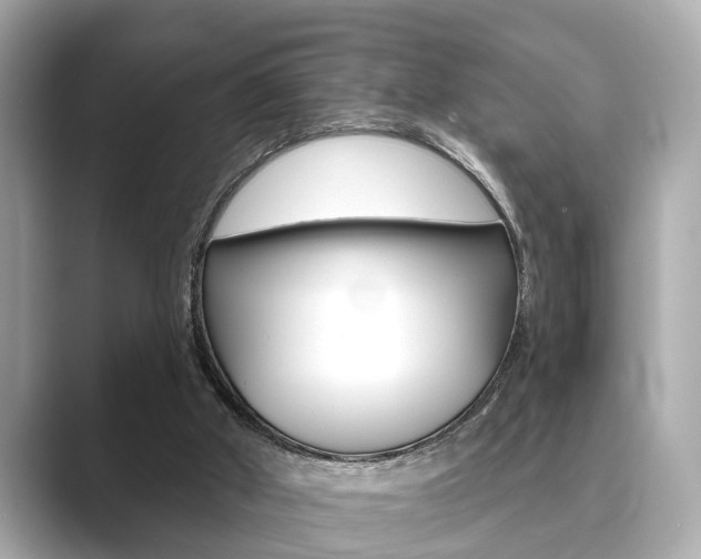 X0000089680010200706210823