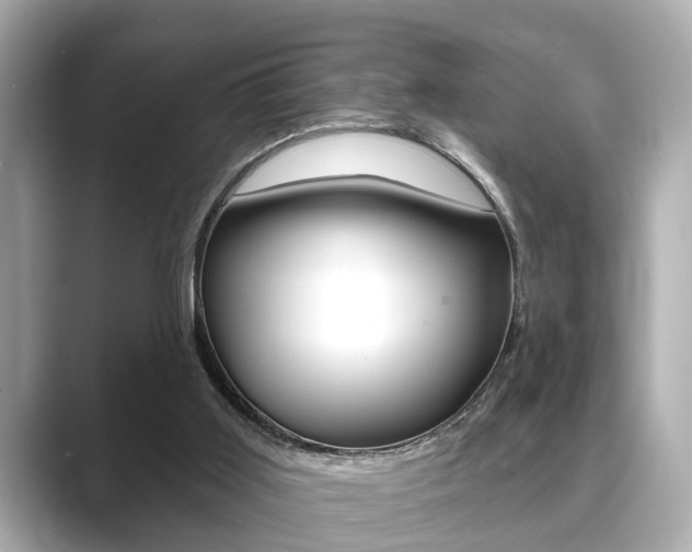 X0000089680011200706210823