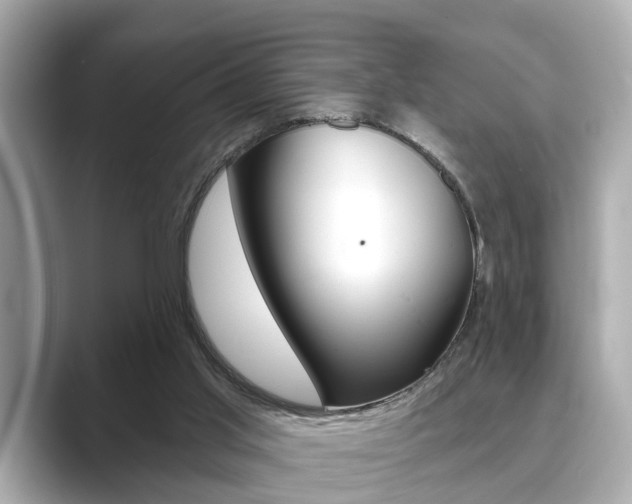 X0000089680013200706210823