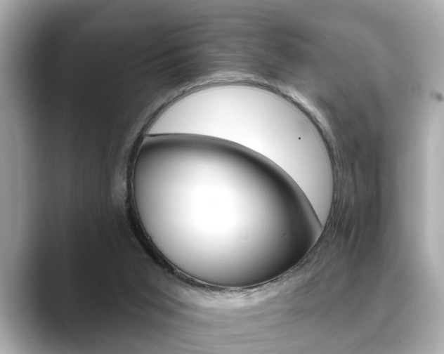 X0000089680015200706210823