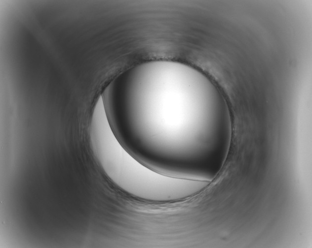 X0000089680017200706210823
