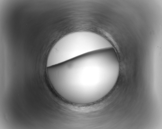 X0000089680018200706210823