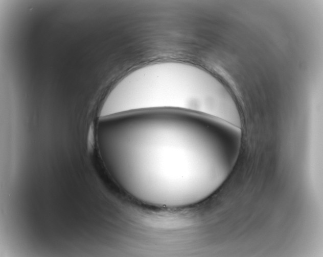 X0000089680020200706210823