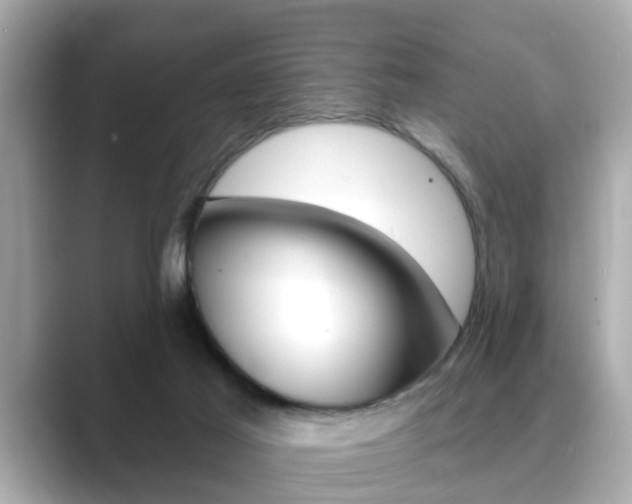 X0000089680021200706210823