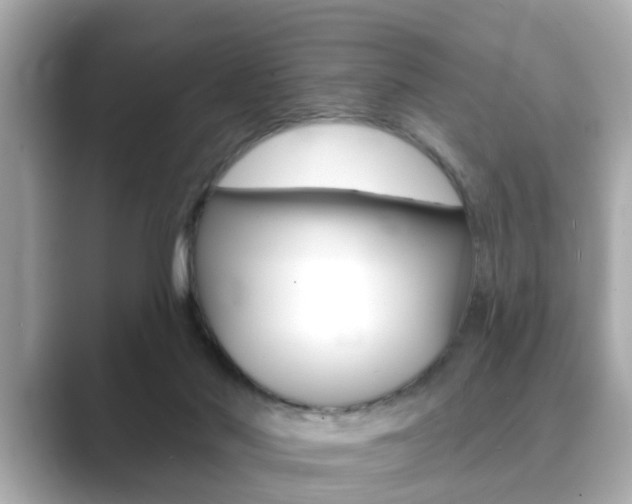 X0000089680022200706210823