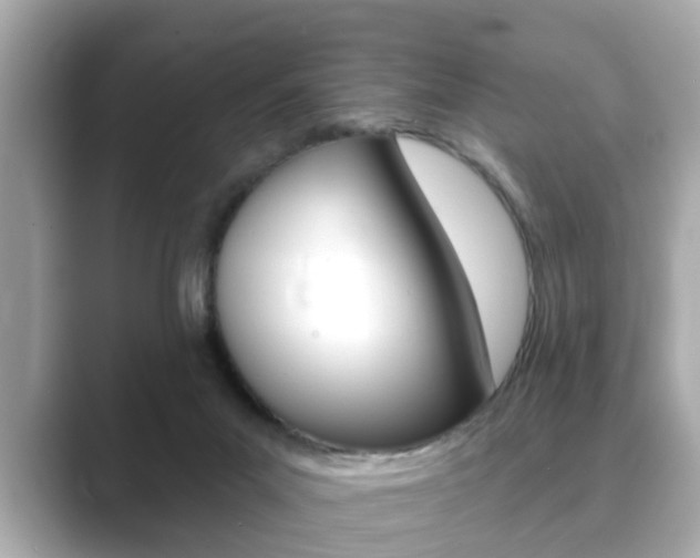X0000089680023200706210823