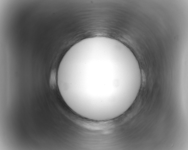 X0000089680028200706210823