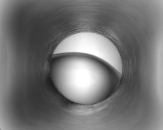 X0000089680029200706210823