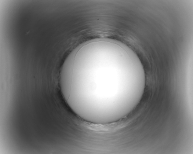 X0000089680030200706210823