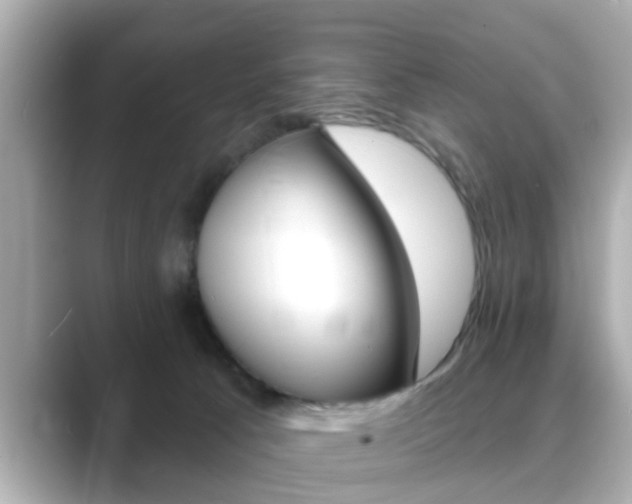 X0000089680033200706210823