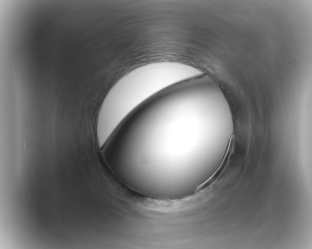 X0000089680037200706210823