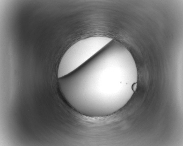 X0000089680038200706210823