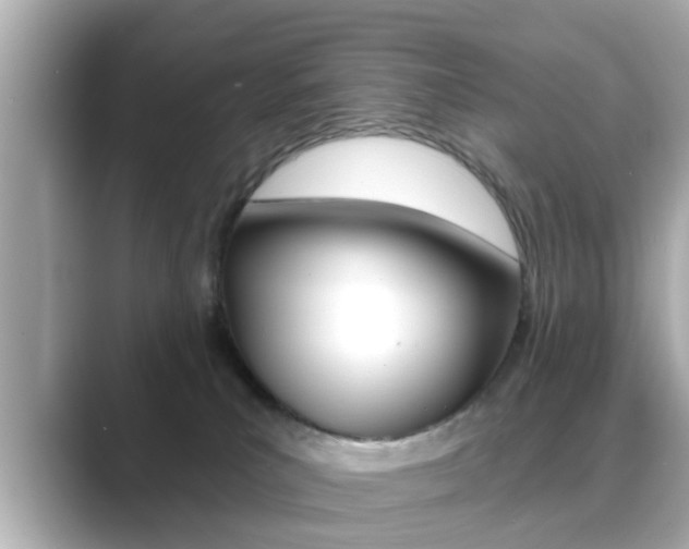 X0000089680039200706210823