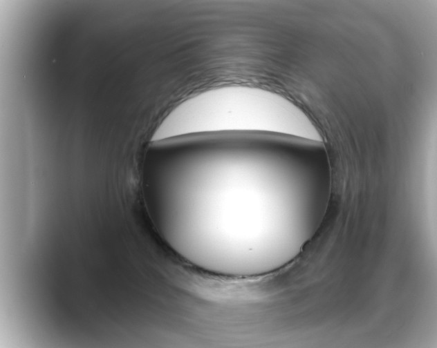 X0000089680040200706210823