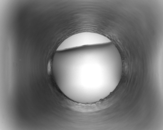 X0000089680042200706210823