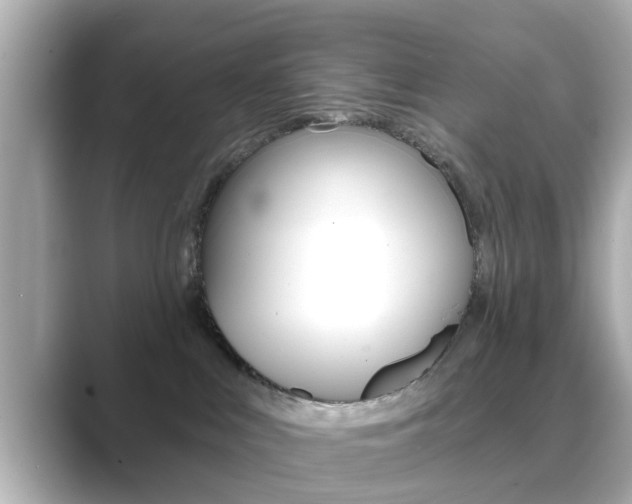 X0000089680043200706210823