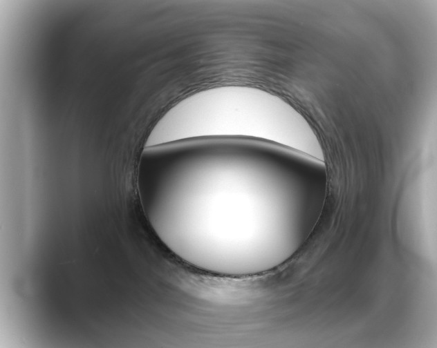 X0000089680044200706210823