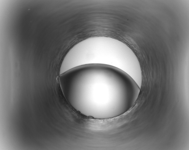 X0000089680045200706210823