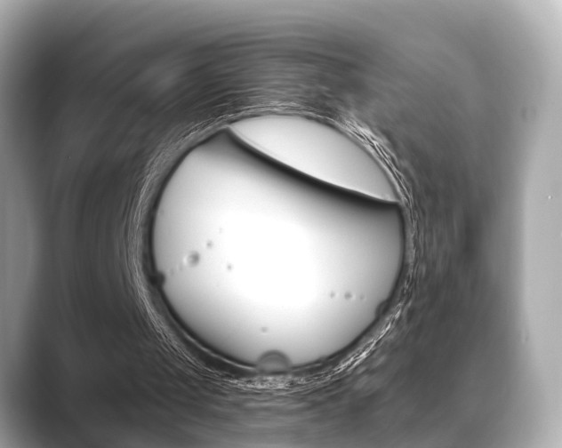 X0000089680049200706210822
