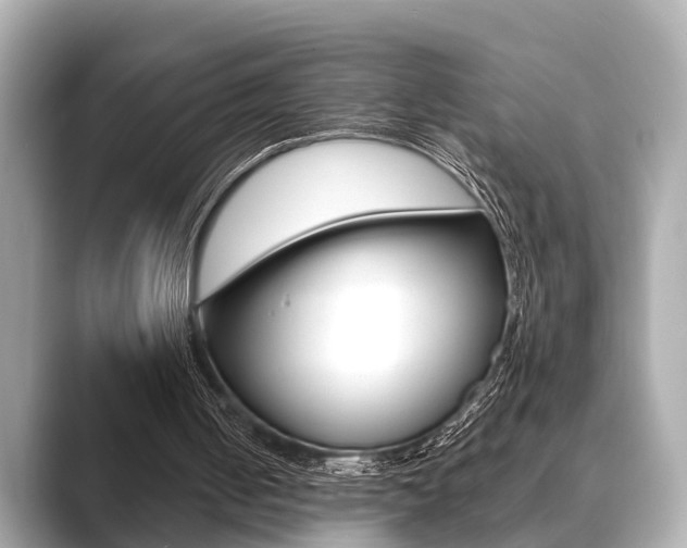 X0000089680050200706210822
