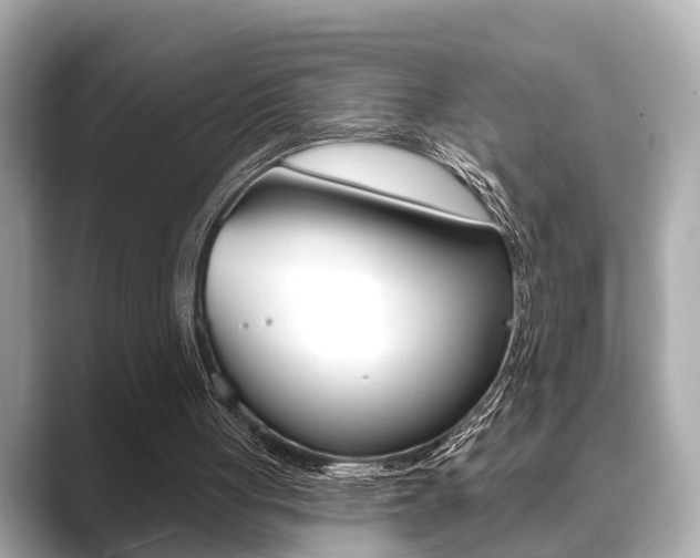 X0000089680051200706210822