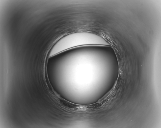 X0000089680052200706210822