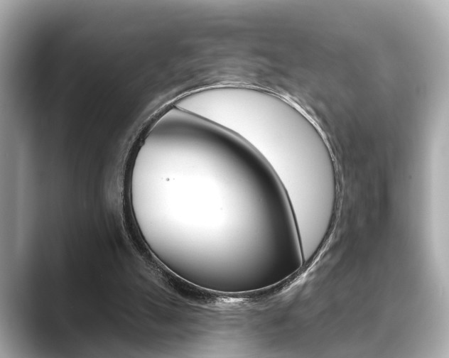X0000089680055200706210822