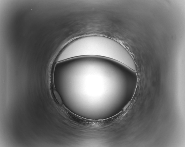 X0000089680056200706210822