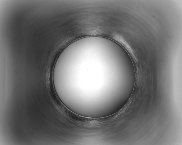 X0000089680058200706210822