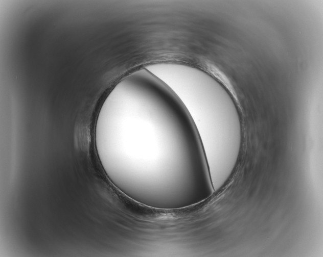 X0000089680059200706210822