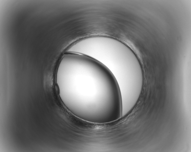 X0000089680060200706210822